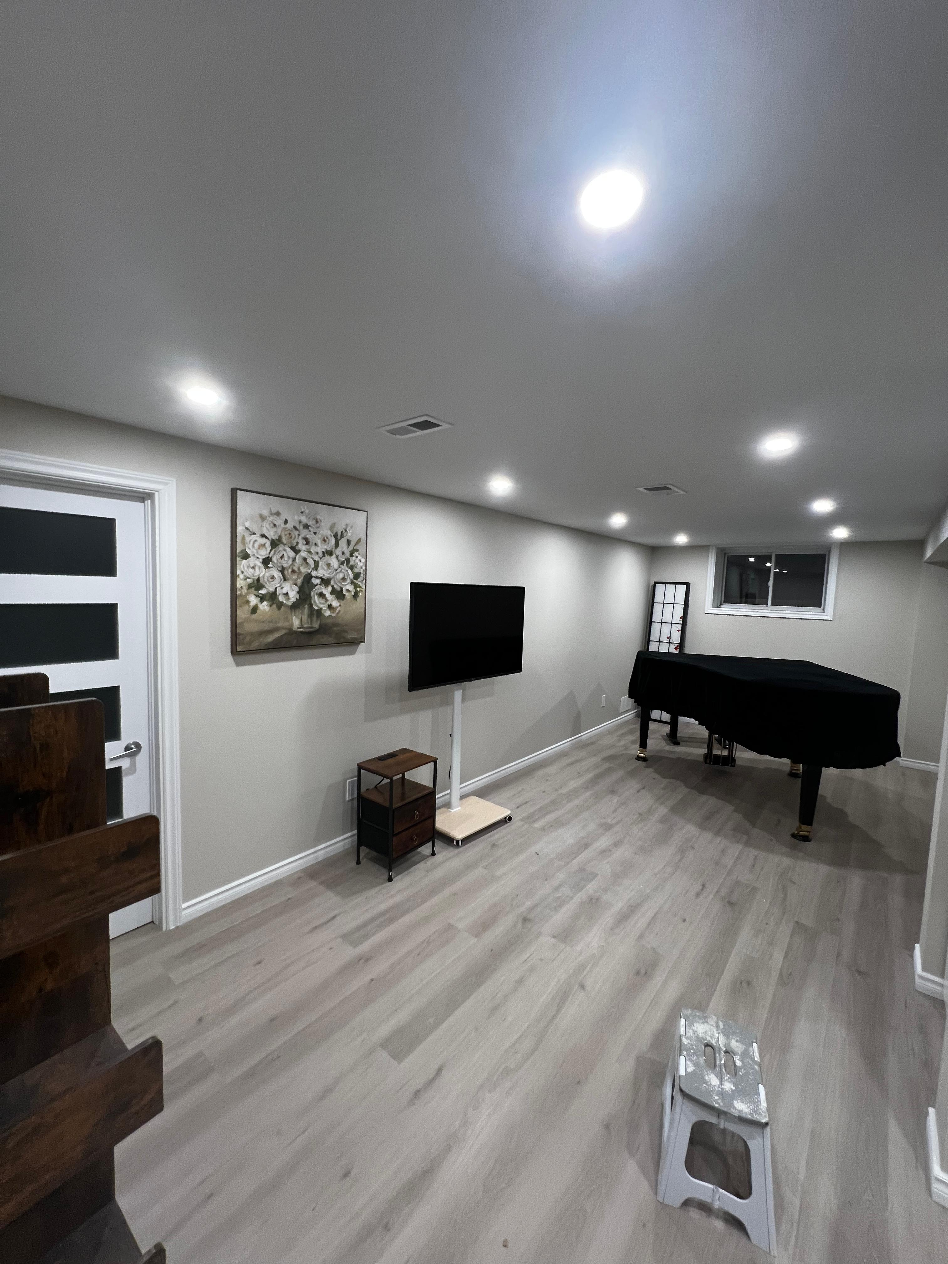 Modern Basement Transformation