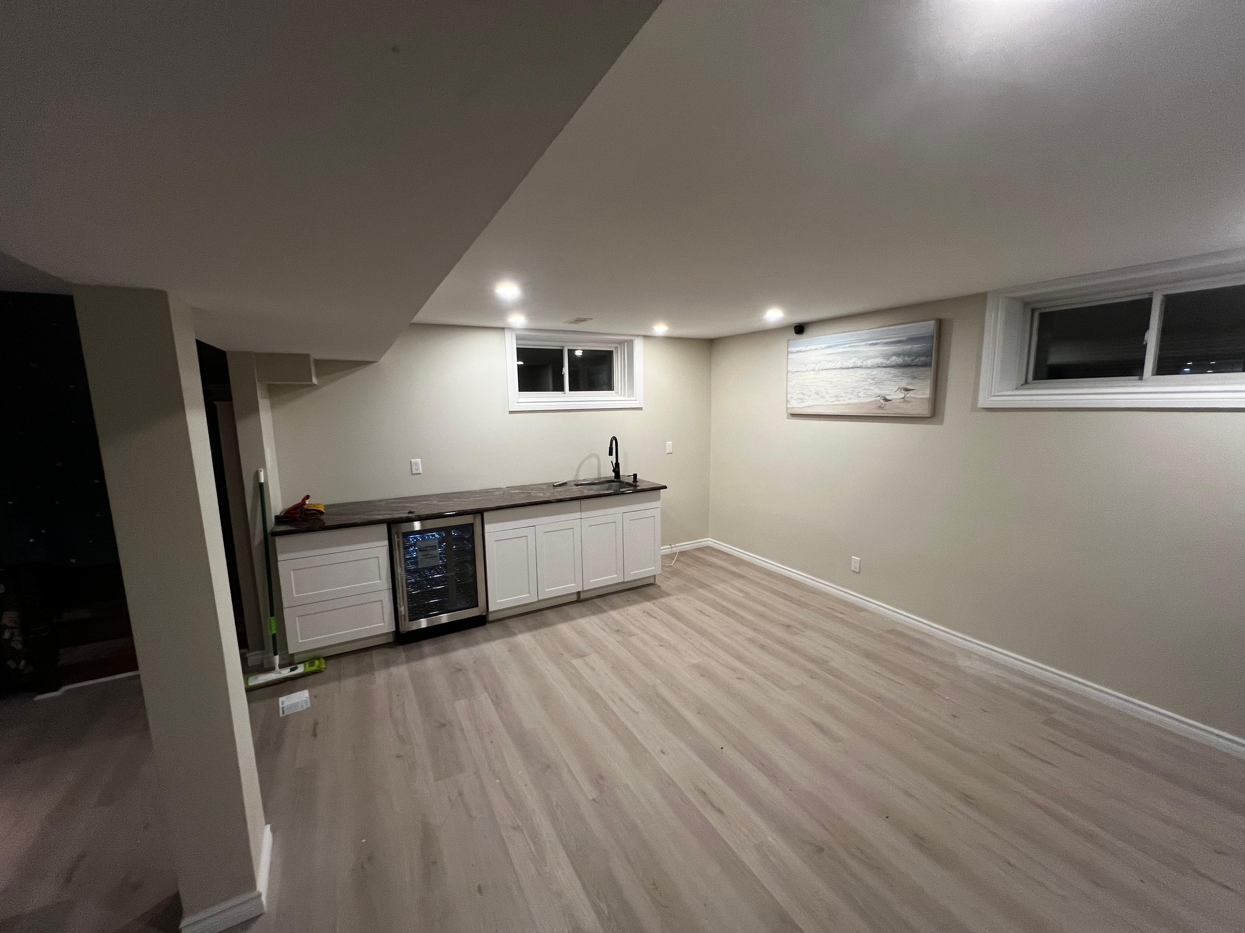 Modern Basement Transformation
