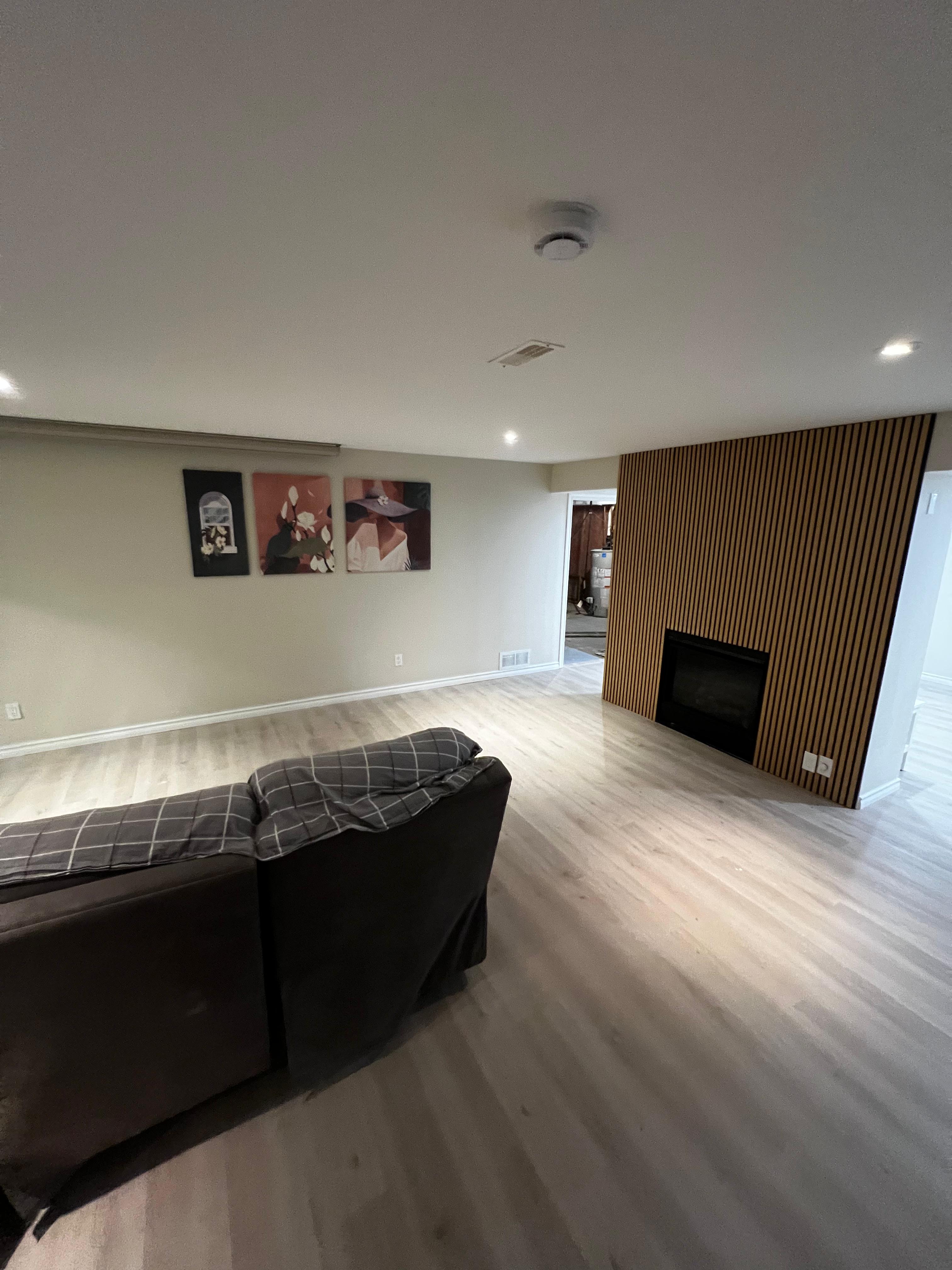 Modern Basement Transformation