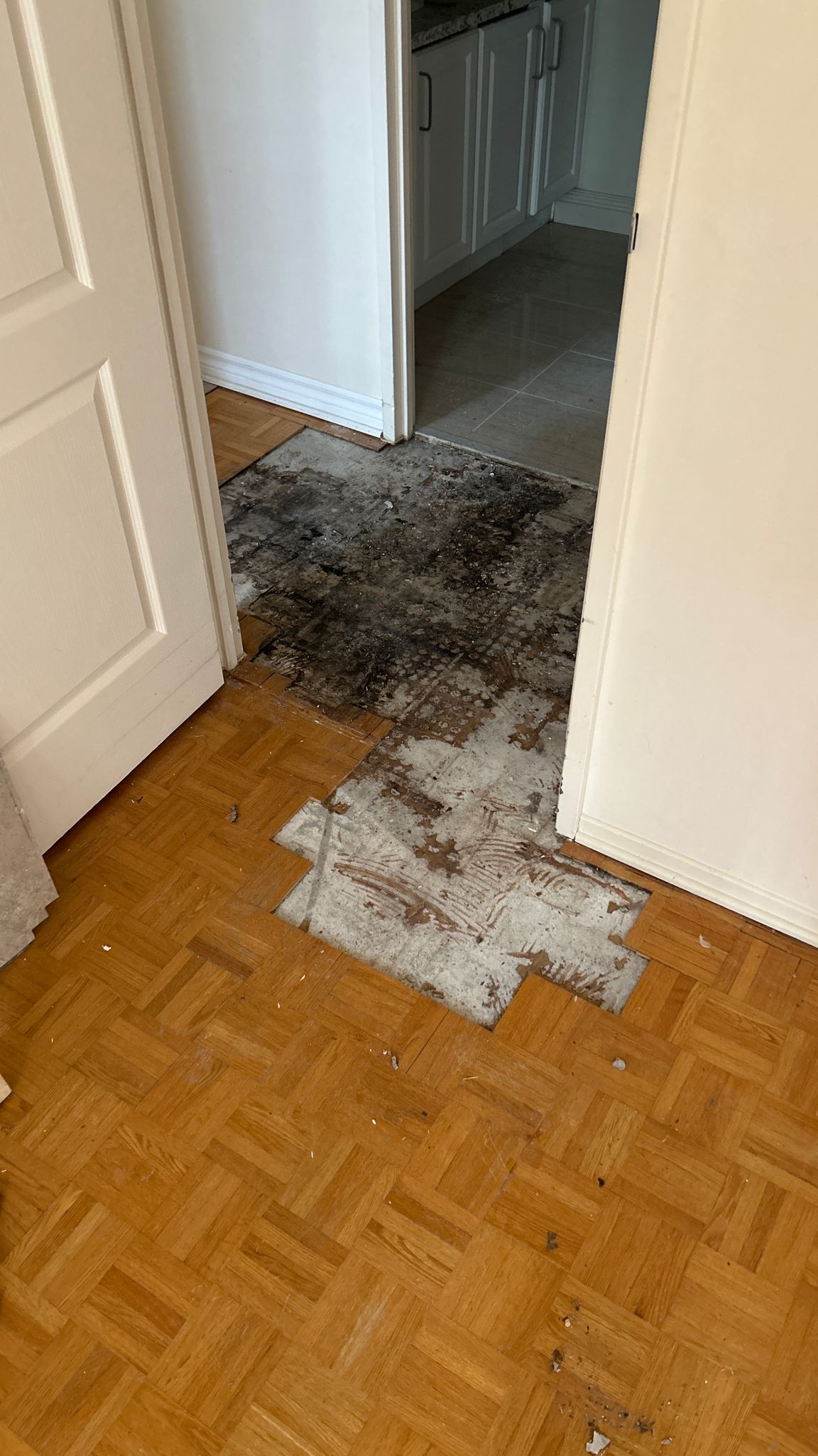 Wet Basement & Water Leak Repair Ottawa