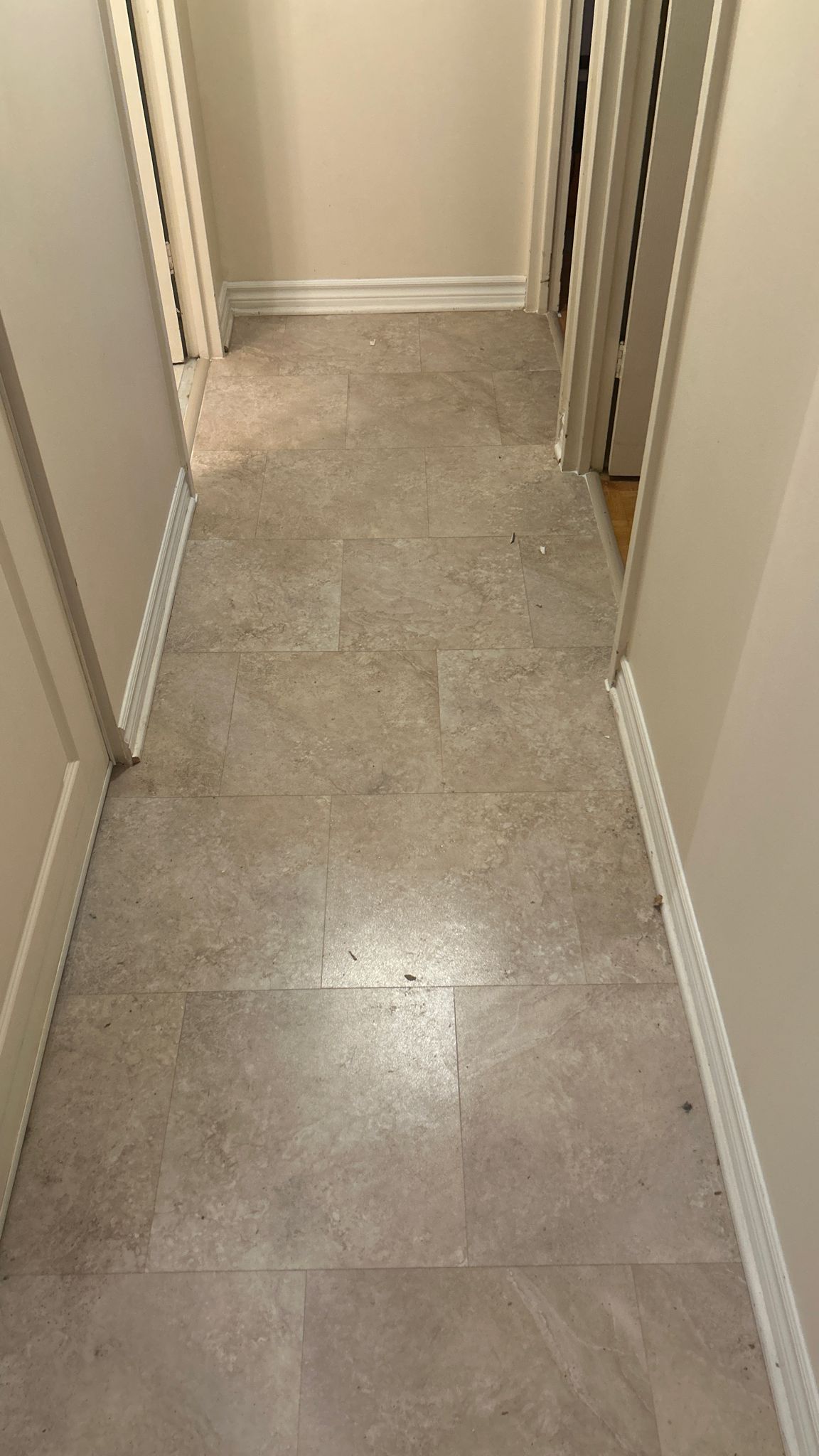 Wet Basement & Water Leak Repair Ottawa