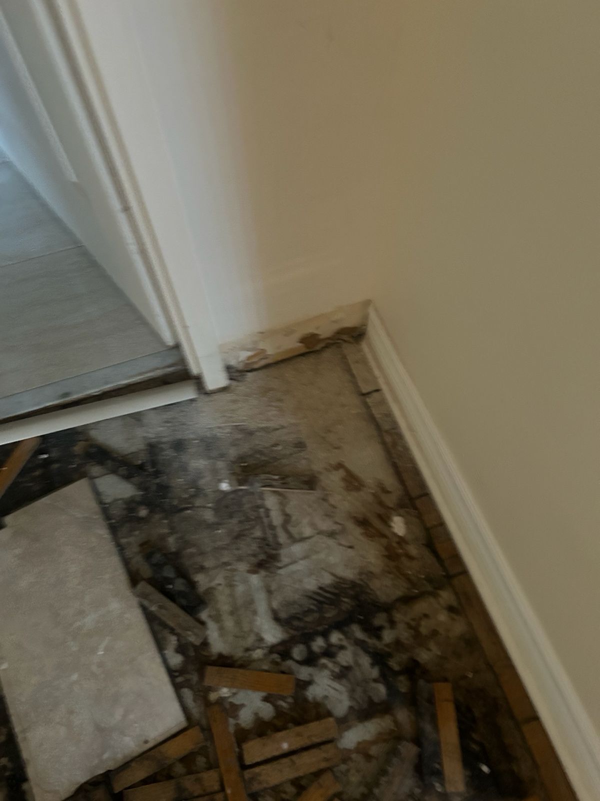 Wet Basement & Water Leak Repair Ottawa